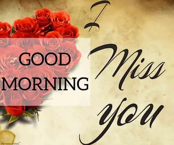 good morning i miss you