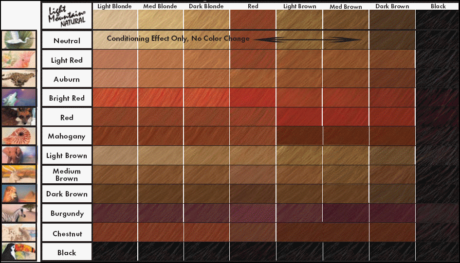 Clairol Hair Dye Colour Chart