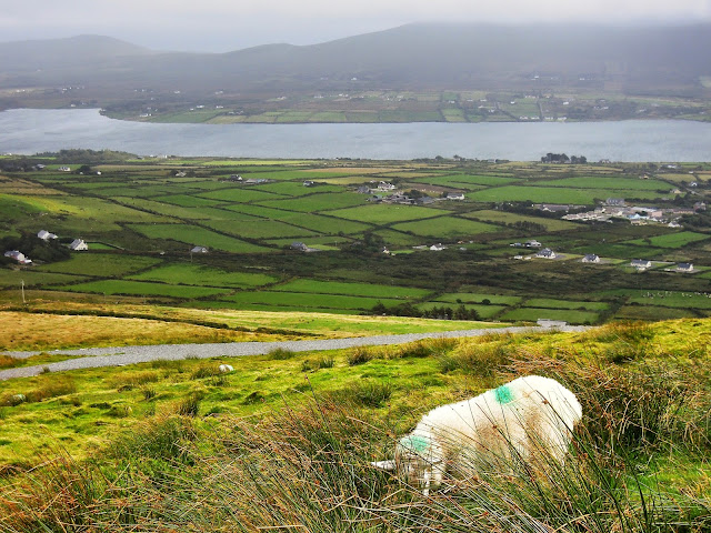 Viaggio fai da te in Irlanda: consigli pratici dalla A alla Z