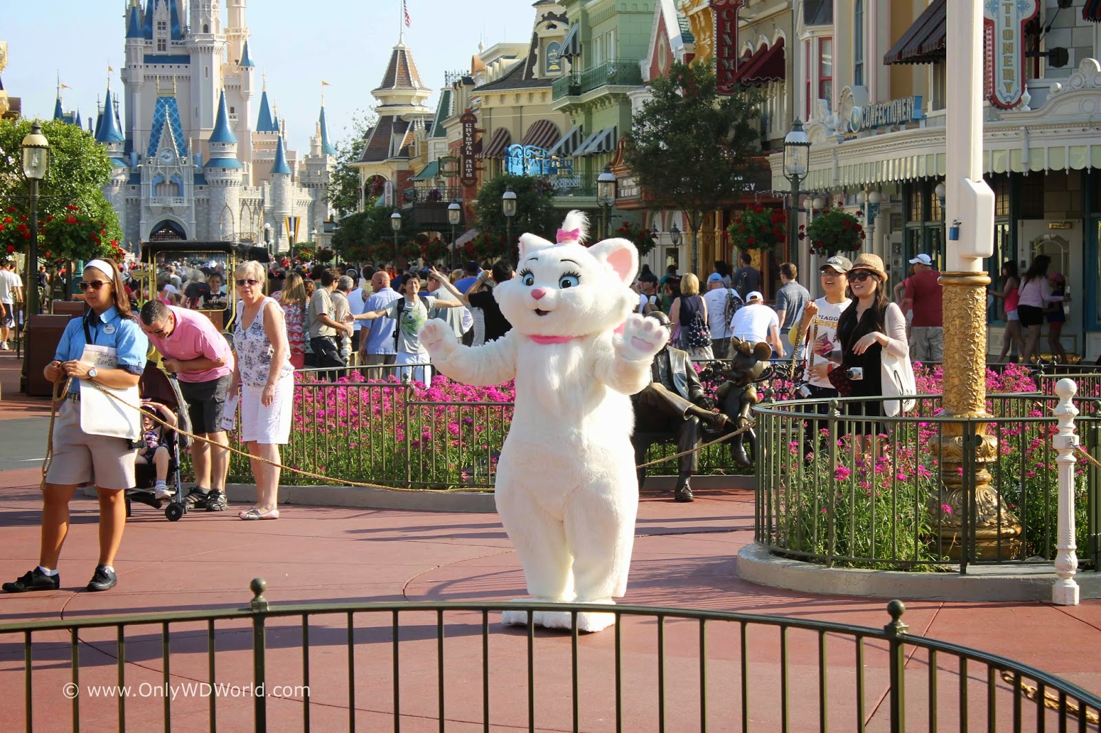 18 Disney World Character Greetings That Don't Cost Extra