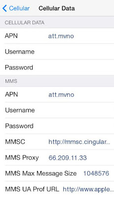 Airvoice Internet and MMS Settings for iPhone 6