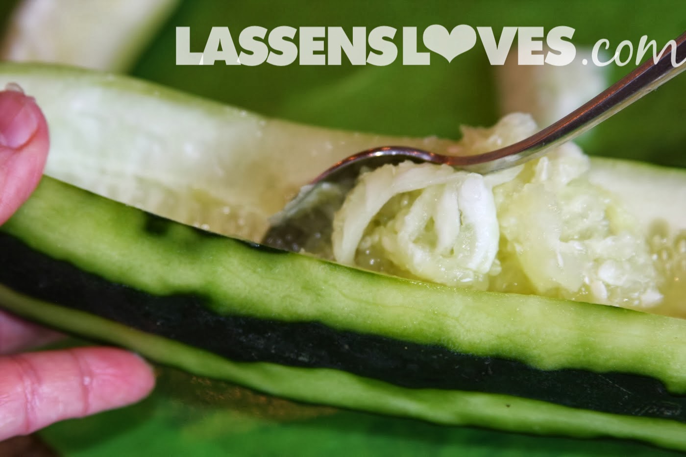 lassensloves.com, Lassen's, Lassens, cucumber+tuna
