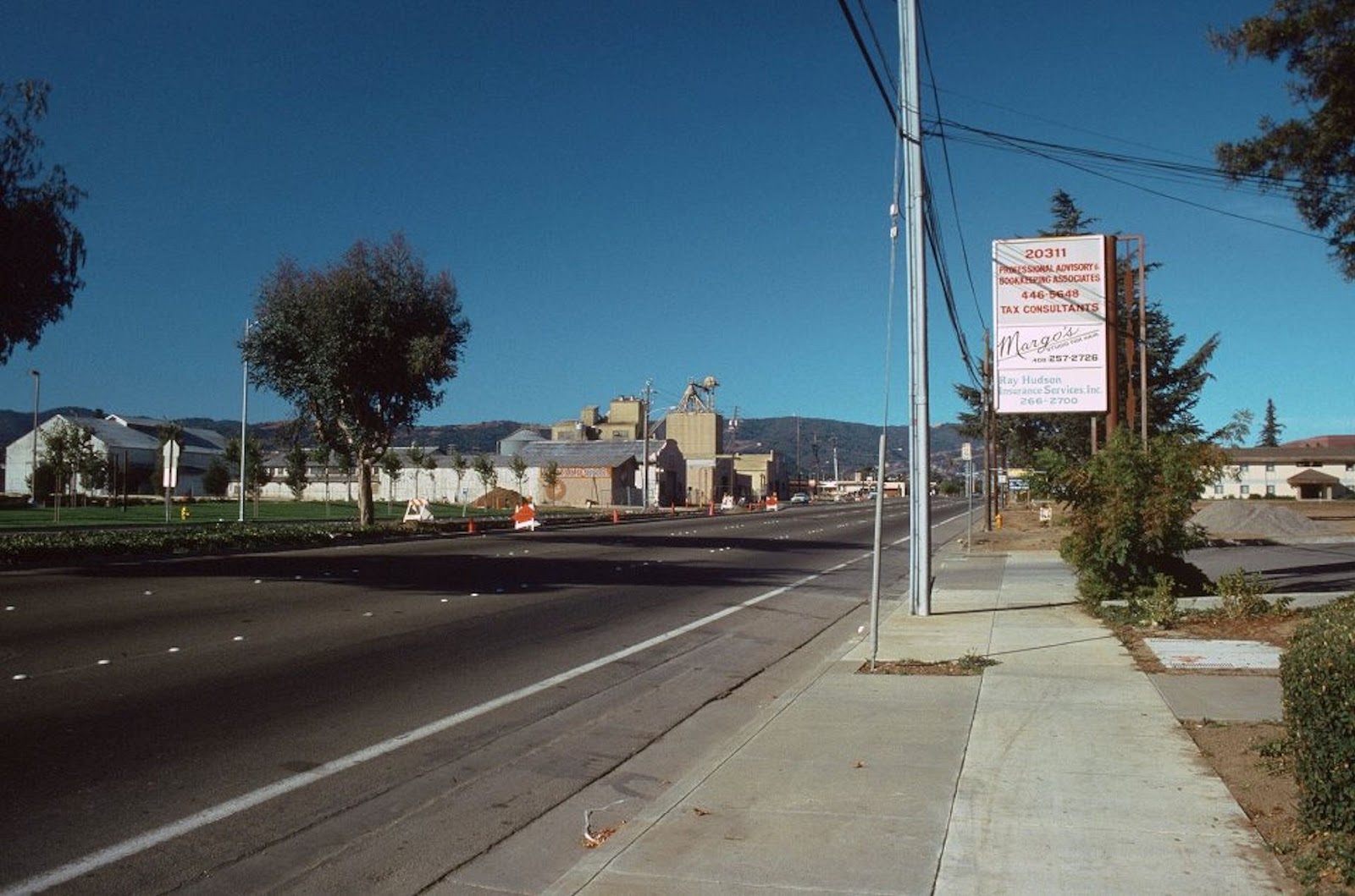 Forestdweller: Stevens Creek Boulevard