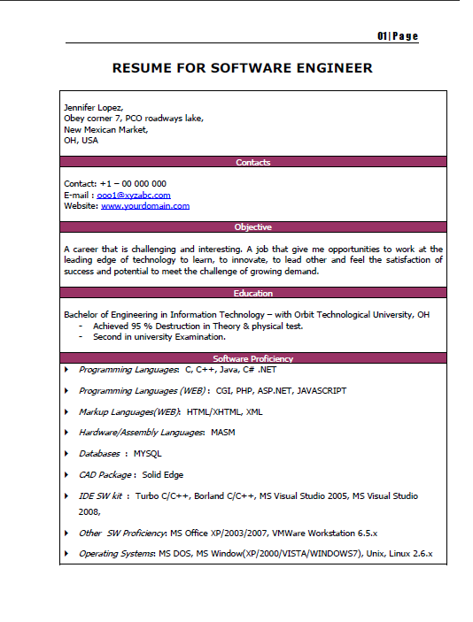 Resume format for experienced software programmer