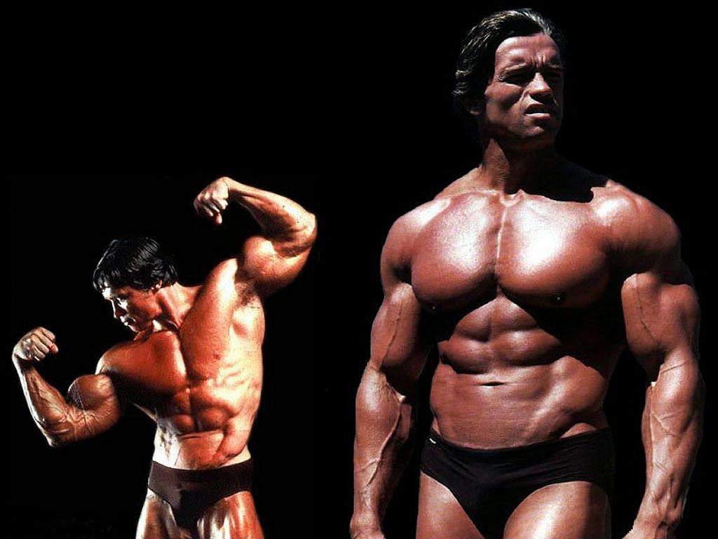 Arnold HD Wallpapers | Golden Pics