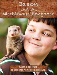 Jason and the Mischievous Mongoose - Kindle Edition