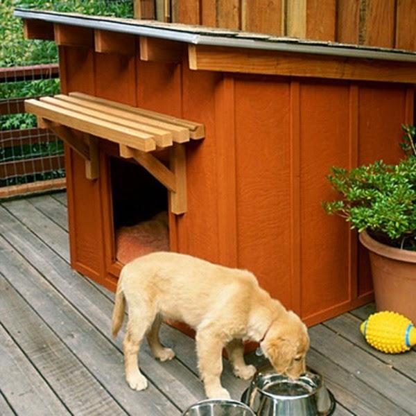 Luxury Dog House And Bed Of Natural Materials