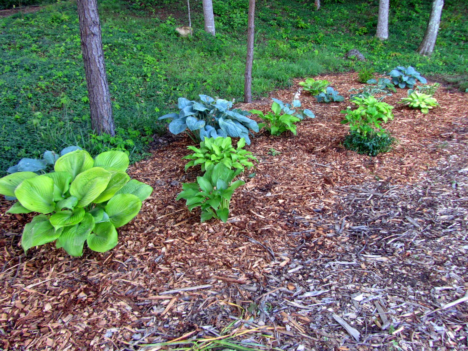 Fibermania Mr. Mulch