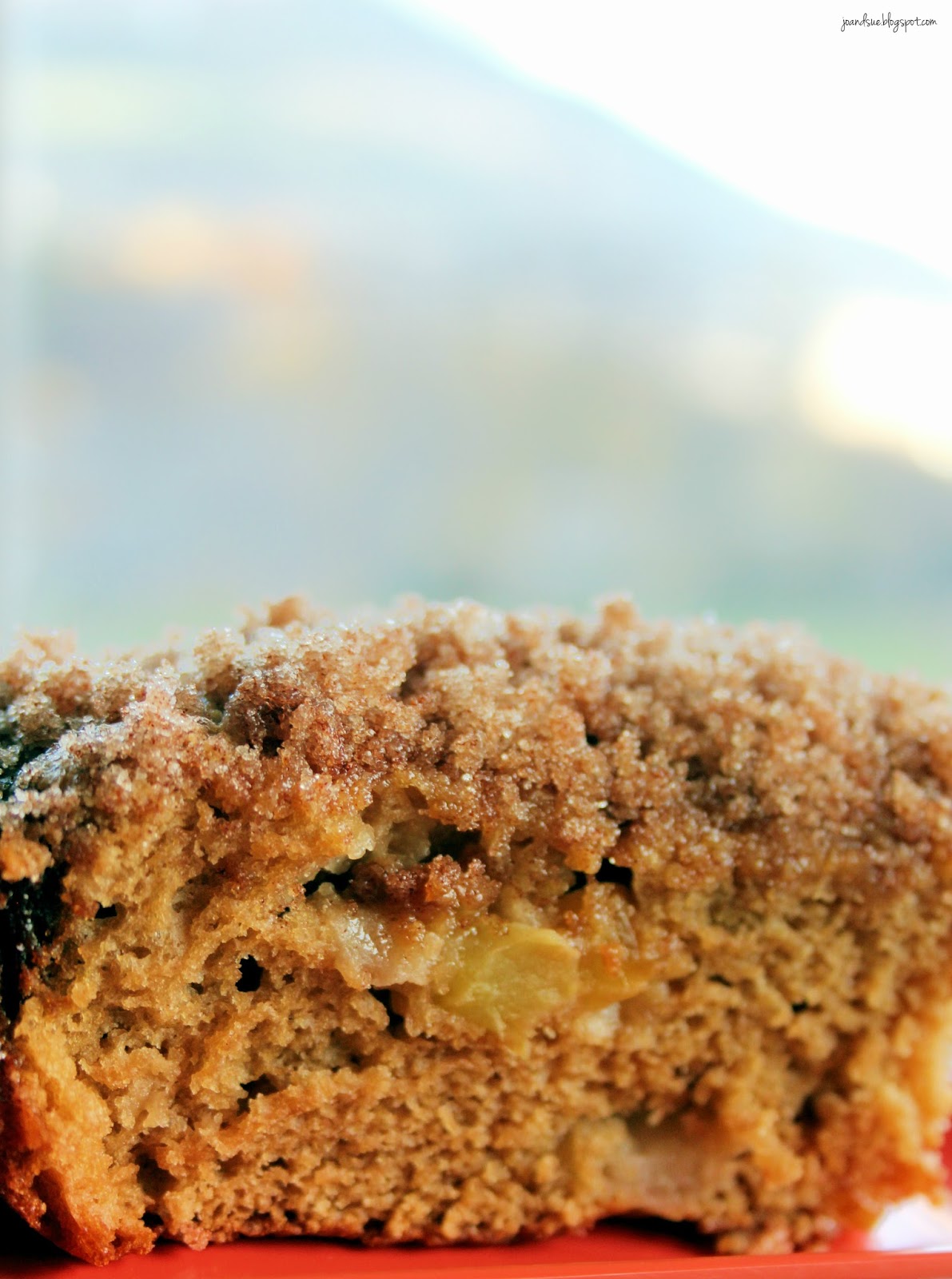 Jo and Sue Buttermilk Apple Cake