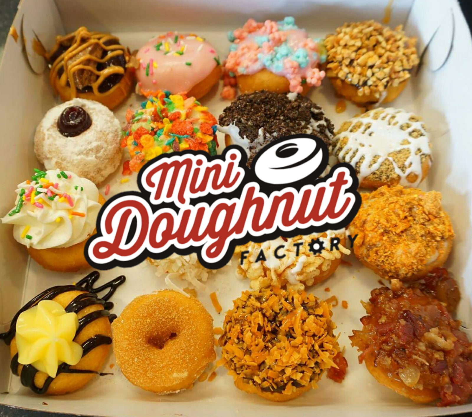 Must See Must Eat Mini Doughnut Factory Tampa The Blossom Twins must-see-must-eat-mini-doughnut-factory-tampa-the-blossom-twins