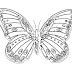 Unique Butterfly With Flowers Coloring Pages Design