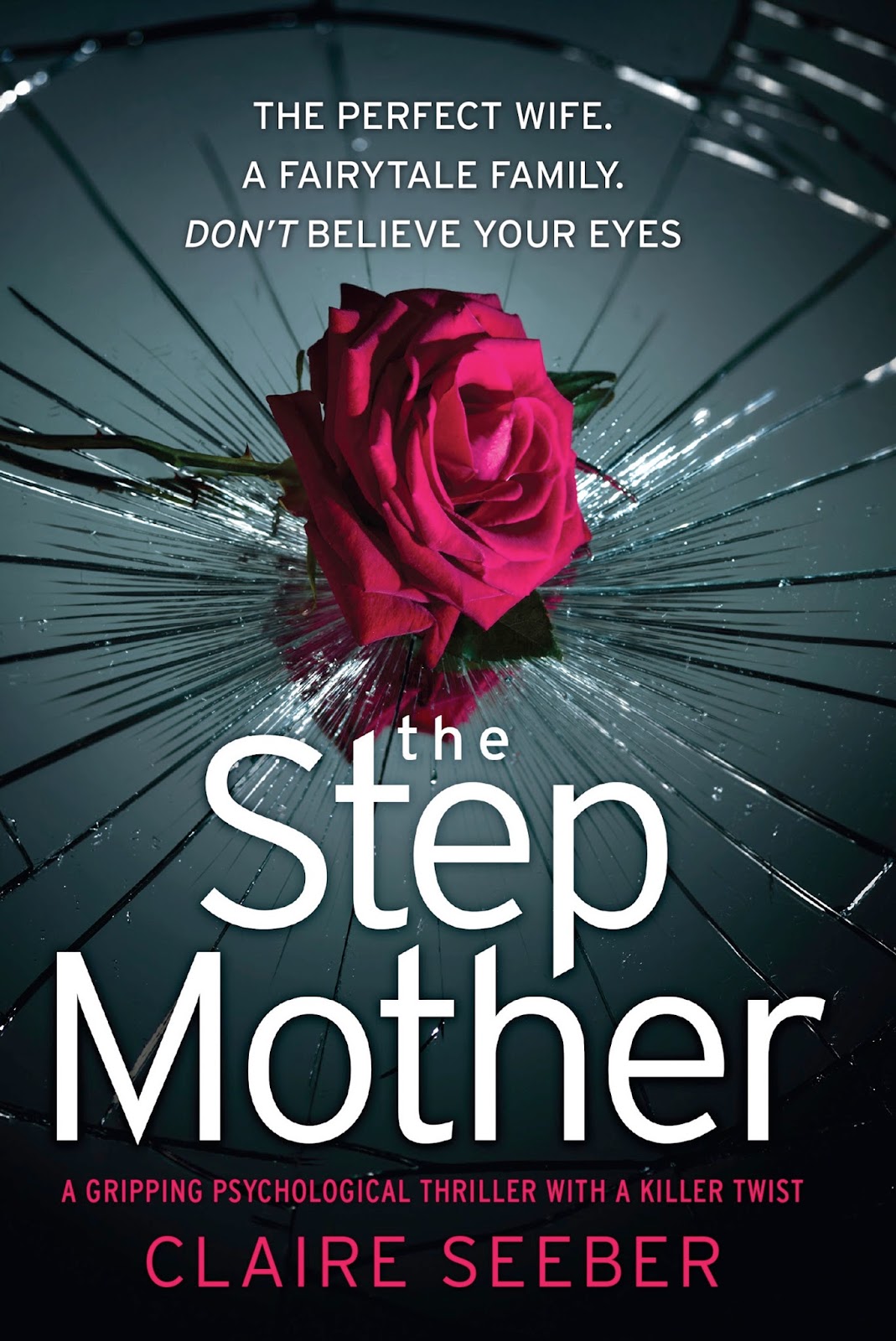The Step Mother By Claire Seeber ~~~~~BLOG TOUR~~~~~~