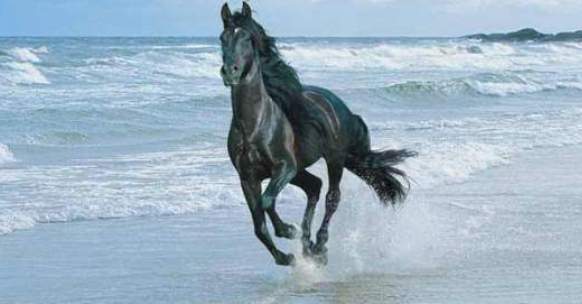 Image result for του σφυγμου οι οπτασιες