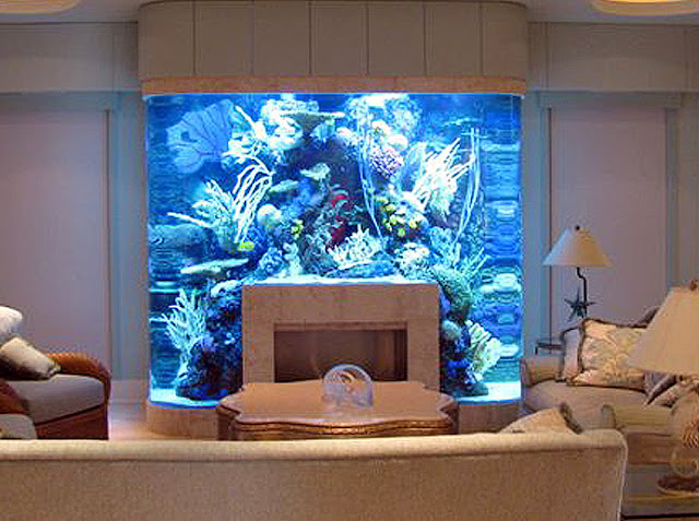 Unusual Places In Your Home For Fish Tanks