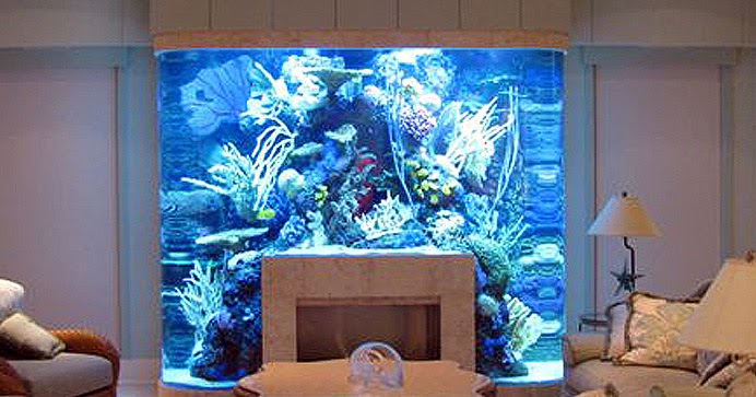 If It S Hip It S Here Archives No Room For An Aquarium