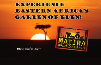 Visit matirasafari.com