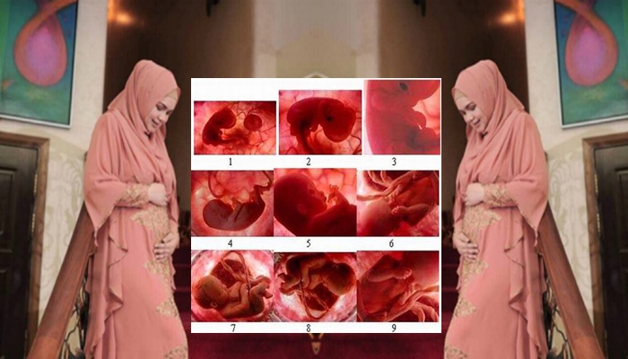 Grebeg Tv Tradisi Syukuran 4 Bulan Kehamilan Ngapati Ngupati Walimatul Haml Grebeg Tv Tradisi Syukuran 4 Bulan Kehamilan Ngapati Ngupati Walimatul Haml