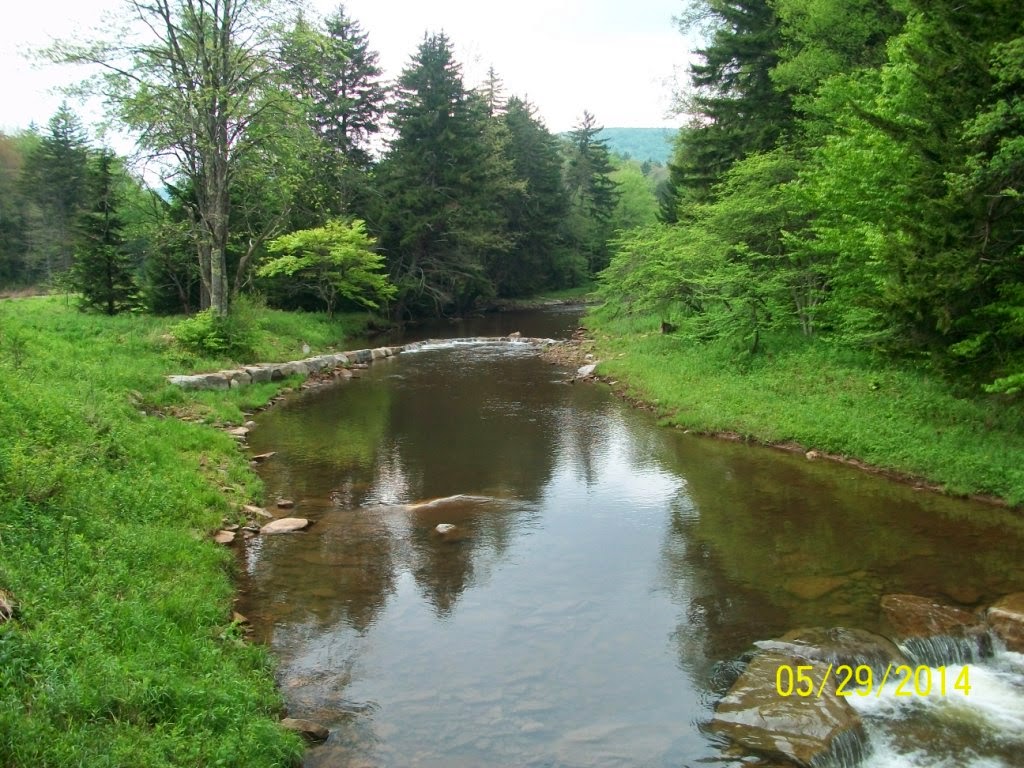 Stream Restoration