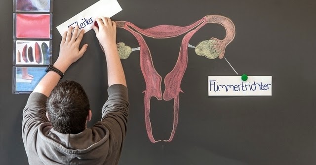 Schule Schweiz Wann soll man Kinder aufklären?