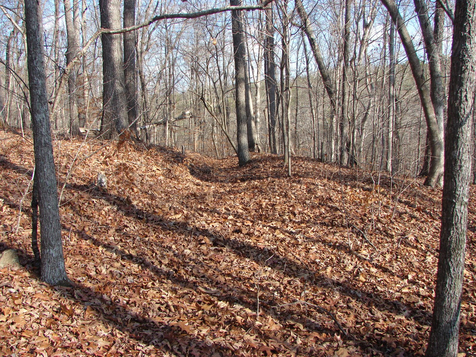 Our Country's Fiery Ordeal Pickett's Mill State Battlefield