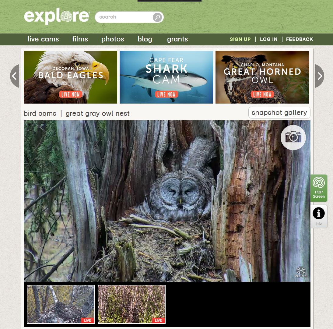 Manssen blogt Vanaf de Zijlijn 'Explore' Prachtige site met 'live