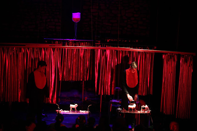 The Assembly of Animals-teraSeni The Assembly of Animals-teraSeni