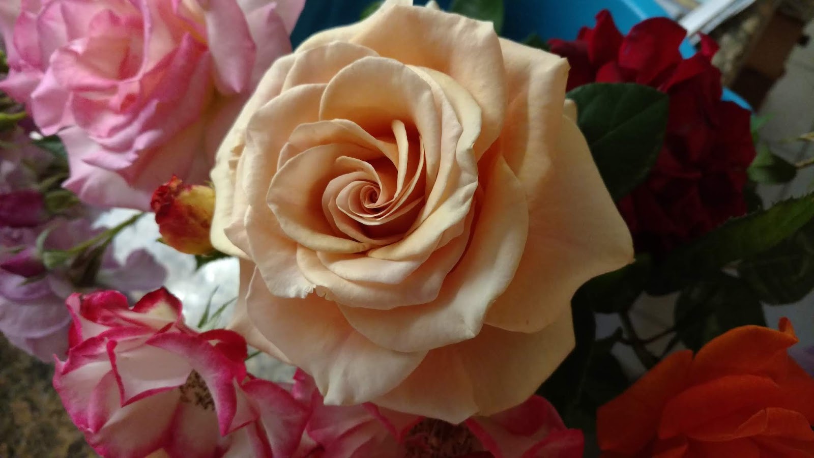 Wallpapers In 2pics Compost Tea