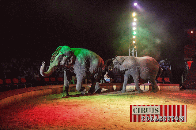 les éléphants du  Cirque Carl Busch