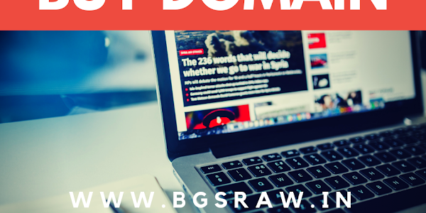 Buy Website Domain Name - The Failure Story of www.BgsRaw.in