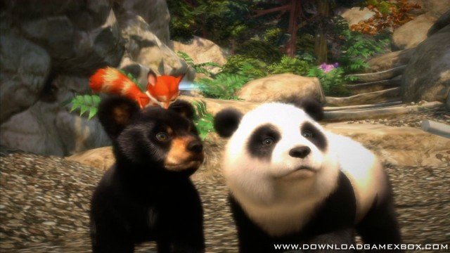 Kinectimals with Bears Xbox 360 Game for Kinect - Free download and  software reviews - CNET Download