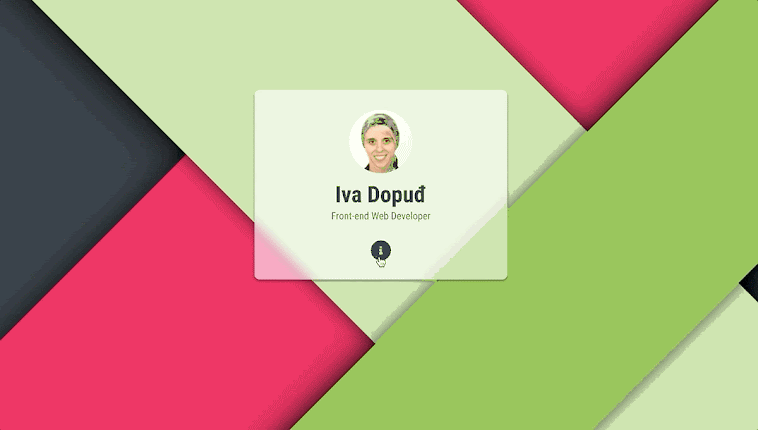 Interactive profile card