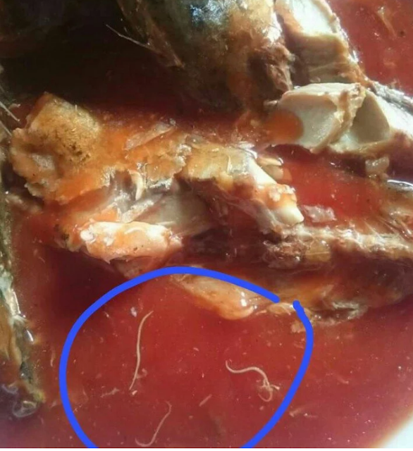 Viral Isu Cacing Pita di Sarden, Ini Fakta dan Cara Tepat Agar Tak Tertipu Viral Isu Cacing Pita di Sarden, Ini Fakta dan Cara Tepat Agar Tak Tertipu