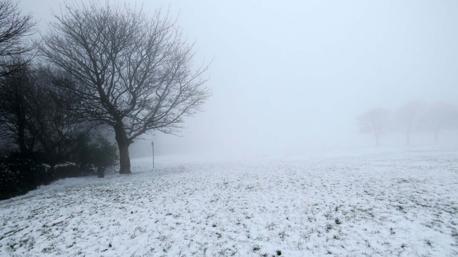 WEST YORKSHIRE BIRDING Queensbury, Milder weather = Fog