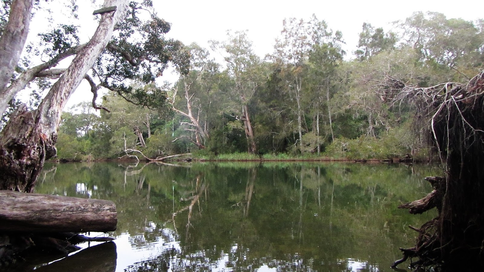 ROCK'S ADVENTURES AVOCA LAGOON KAYAK IN THE RAIN 26 MAY 2016