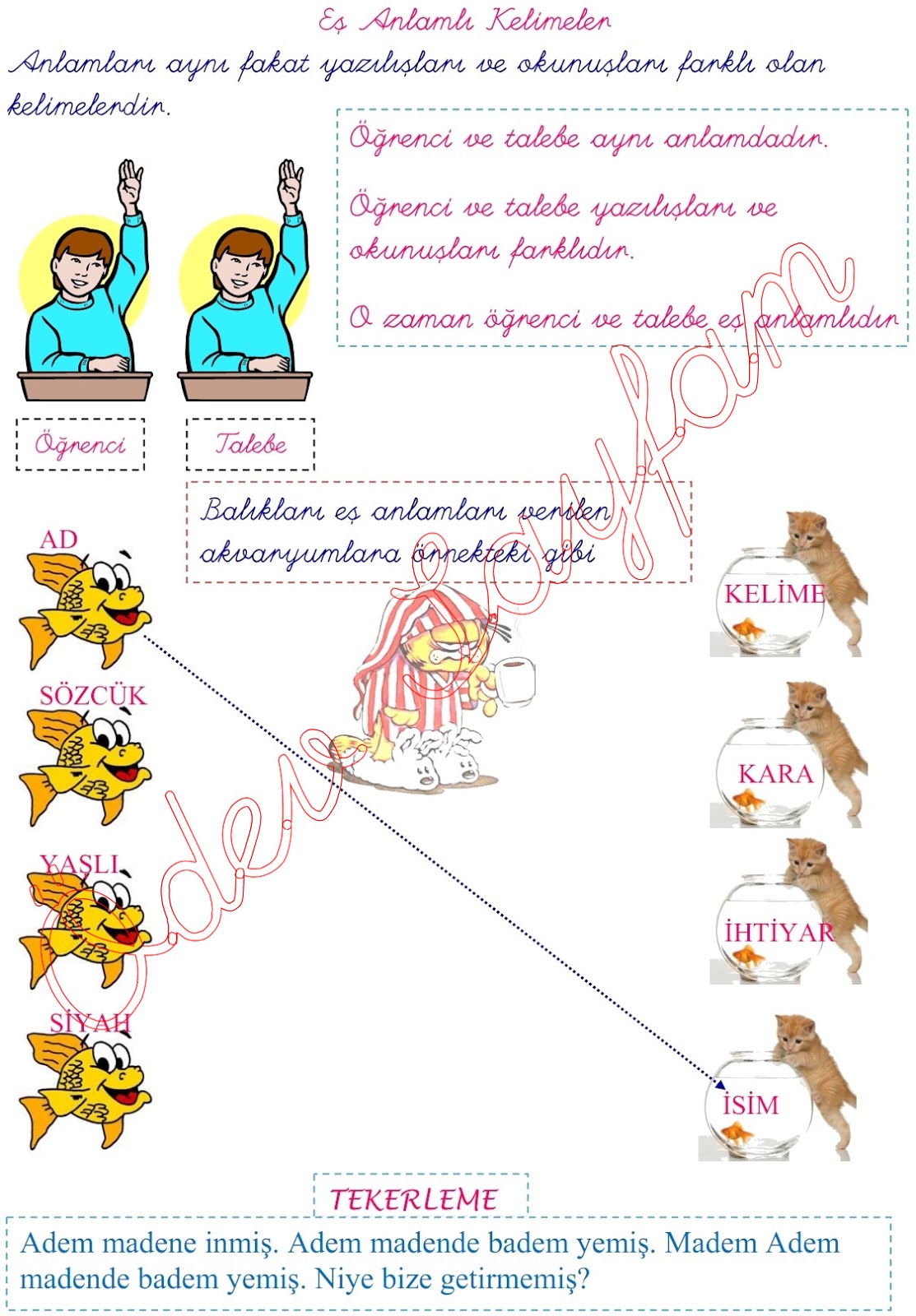 Eş Anlamli Kelimeler 1. Sinif Türkçe Dersi - Ders Kitabı Cevapları