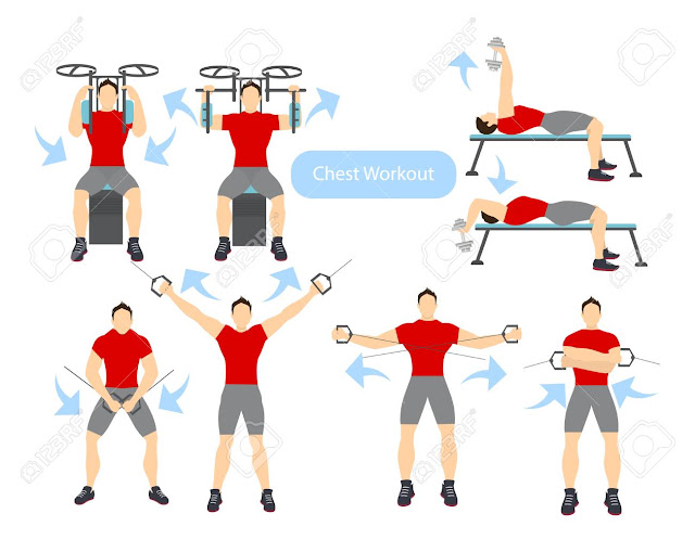 The 13 Best Chest Exercises For Men Daily Body Workout Fitness