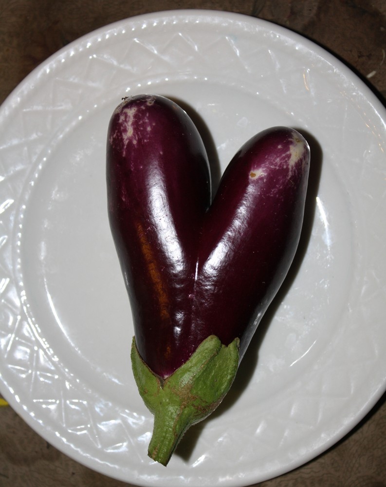 The Edible Garden August 2012