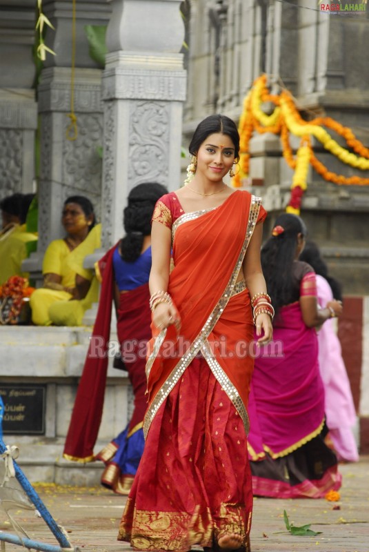 shriya-saran-in-saree-picture-gallery-+(