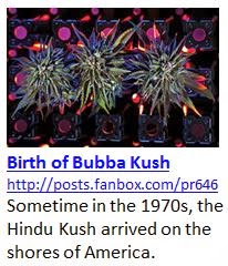 Birth of Bubba Kush