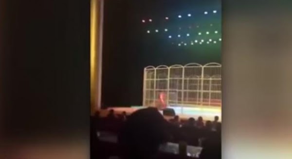 Tigre ataca en circo en China (VIDEO) Tigre ataca en circo en China (VIDEO)