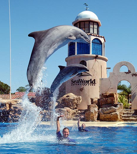 News in the World: SeaWorld Florida Orlando