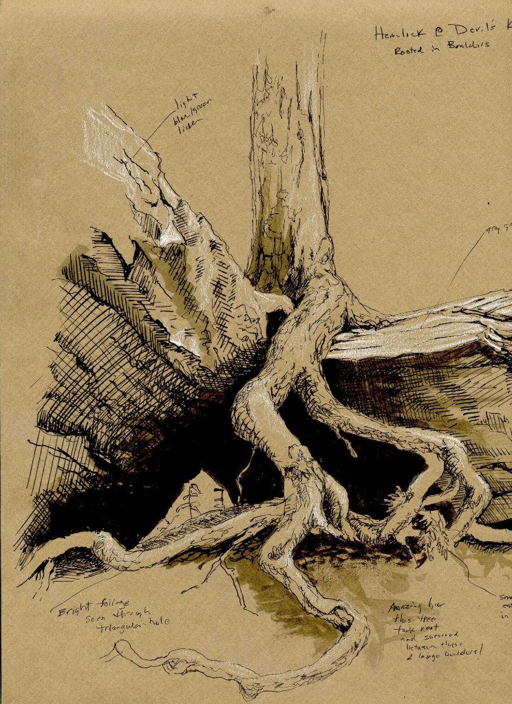 Чернила корень. Зверь корень. Древесные животные рисунок. Корни дерева рисунок на крафт бумаге. Рисунок Rootny reet.