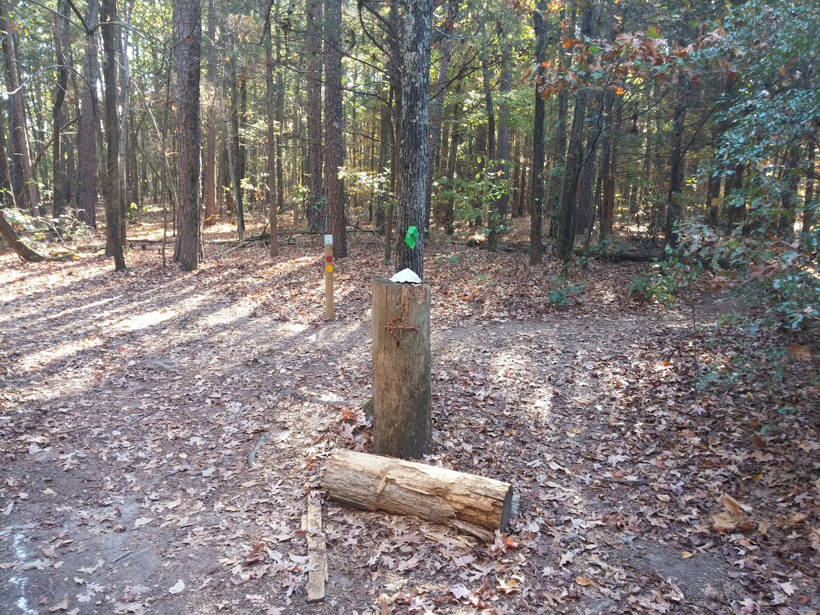 Rick's Hiking Blog Illinois Bayou and Ouita Coal Company trails