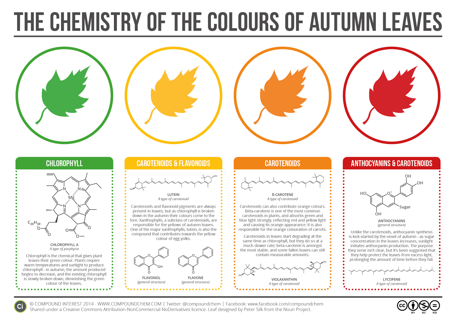 Chemistry Of Color Change
