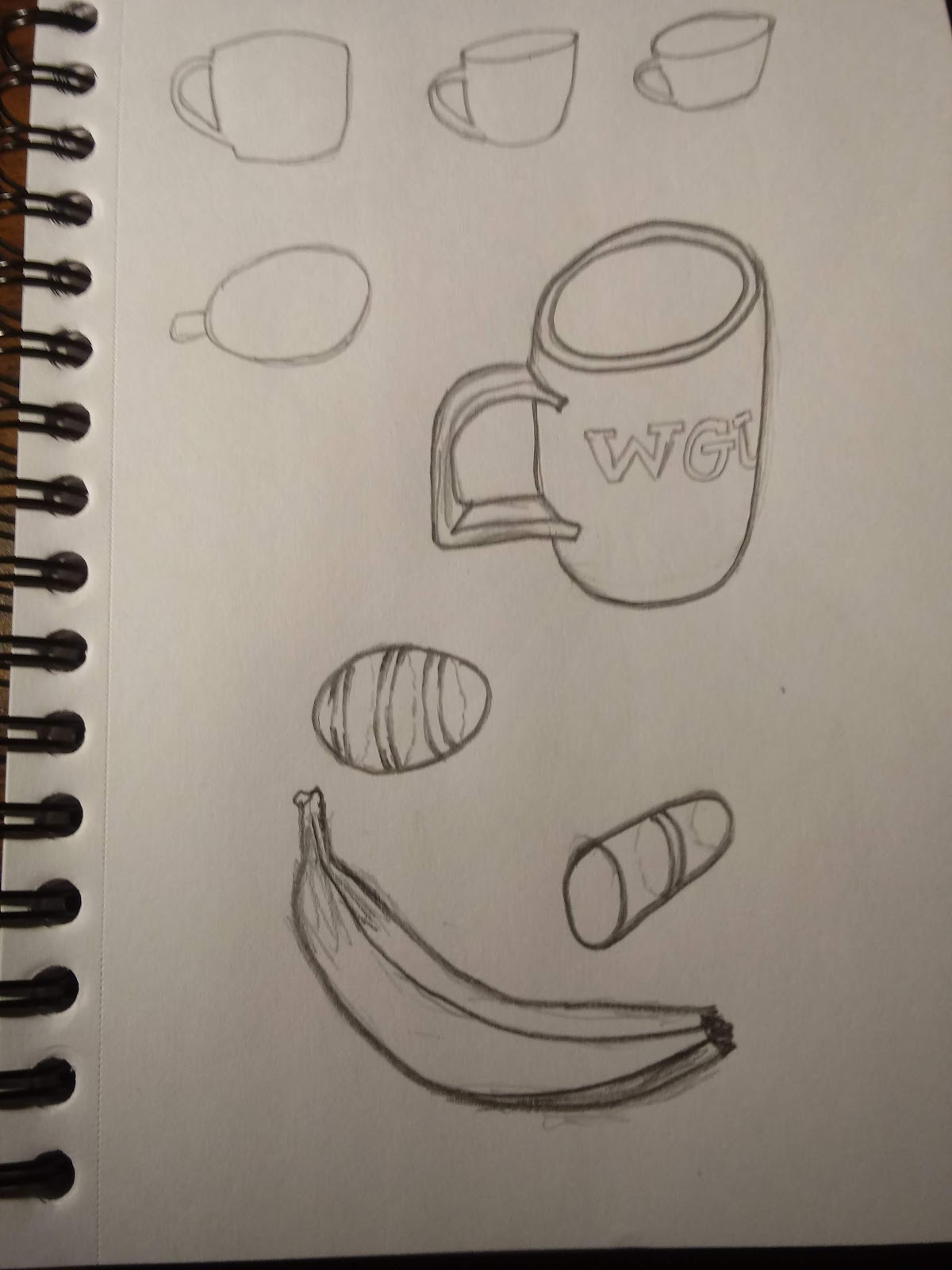 Drawing Fundamentals Cross Contour Lines And Ellipses Amy Wynne Creativelive Com