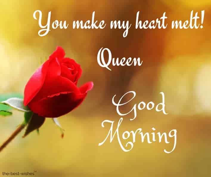 101+ Good Morning My Queen Images [ Best Collection ]
