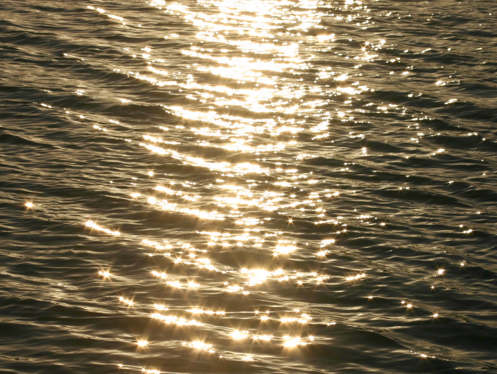 eljeiffel Kawana Waters Water Kawana / Queensland (Sun 26 Apr 2009)