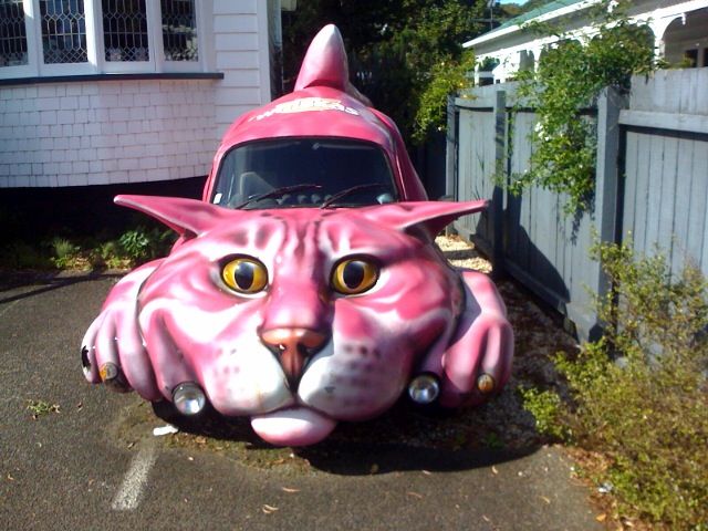 A wild pussycat VW ~