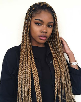 22 Amazing Fulani Box Braids styles Ponytails That color blonde Blonde Fulani box braids are protective braiding hairstyles characterized by owning a squ 22 Amazing Fulani Box Braids styles Ponytails That color blonde