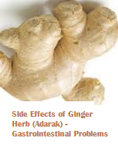 Side Effects of Ginger Herb (Adarak) - Gastrointestinal Problems